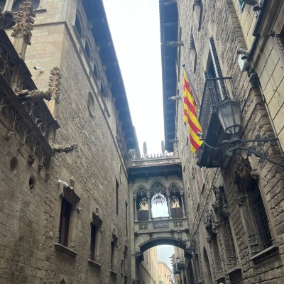 Barcellona 2025 (4D SU e 4A LES)