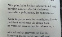 dantedi in jobshadowing finlandia
