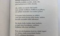 dantedi in jobshadowing finlandia