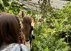 orto botanico