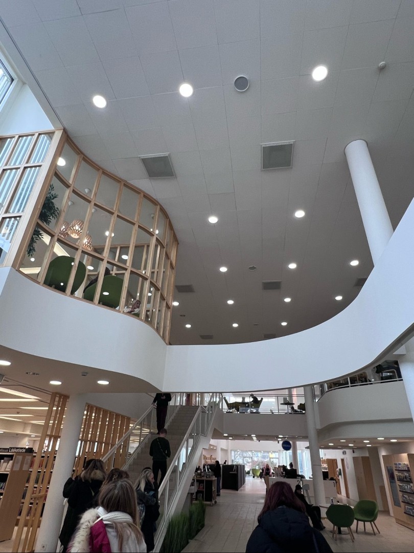 dantedi in jobshadowing finlandia